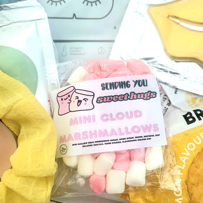 Good Luck Gift Box: New Job, Exam Support, Pre-Interview Survival Care Package